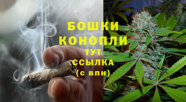 spice Каменногорск