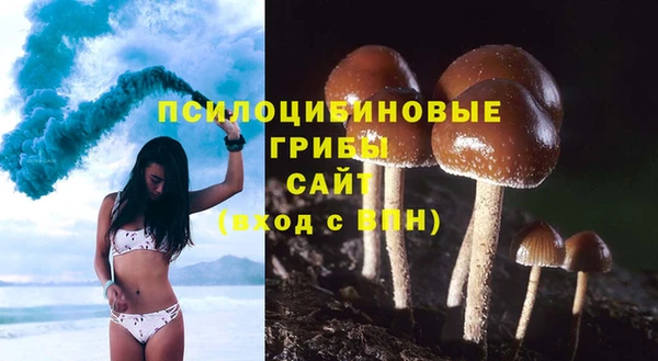 spice Каменногорск