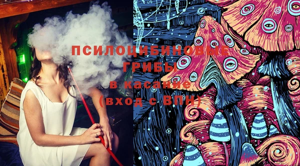 spice Каменногорск