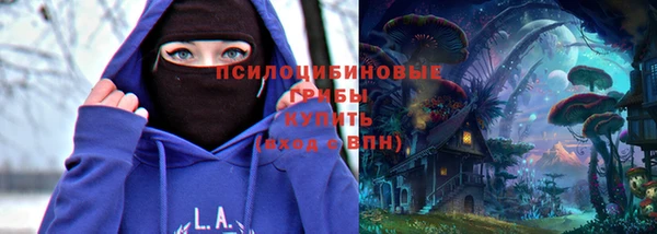 spice Каменногорск